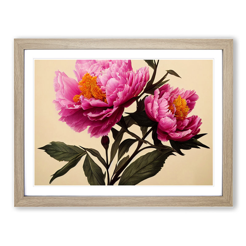 Adorable Peony Flowers - Single Picture Frame Painting, 46cm H x 64cm W x 2cm D, Oak Framed