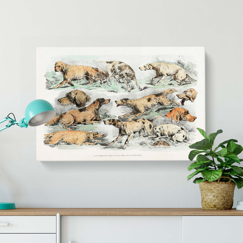 Illustration Of Hounds by Henry Thomas Alken - Wrapped Canvas, 35cm H x 50cm W x 3cm D