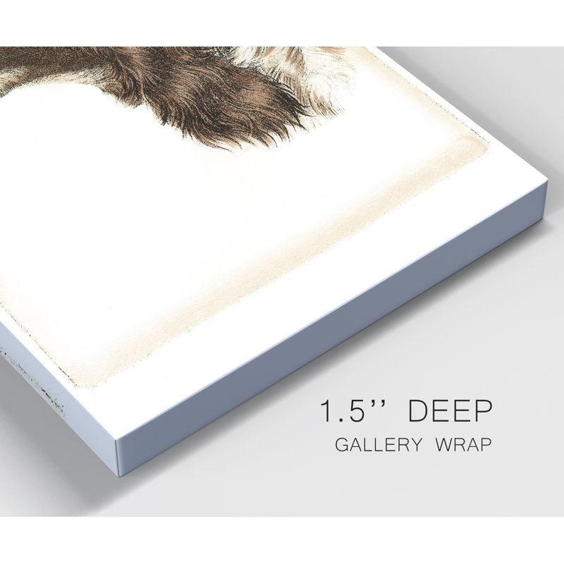 Reproduction d’art sur toile tendue « Danchin Cocker Spaniel », H 27 po x l 18 po x P 1 po
