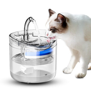 PetFusion H2O Gravity Pet Water Dispenser. Durable 2.5 Gallon Water Feeder.  Automatic Water Station for Cats & Small, Medium, Large Dogs, Transparent