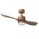 Jaclyn 42'' Ceiling Fan with LED Lights