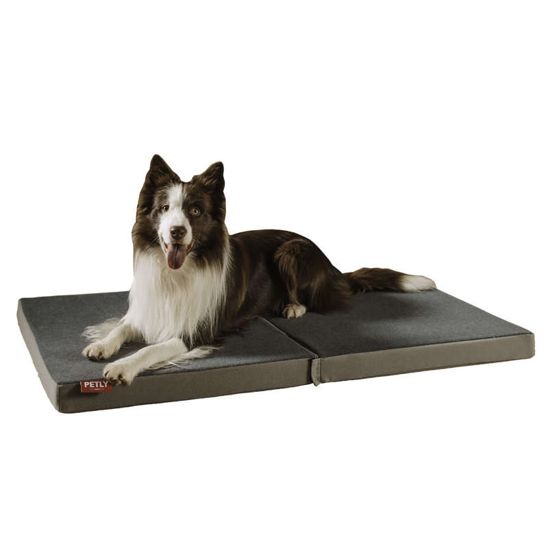 Orthopedic Pet Bed, Light Grey