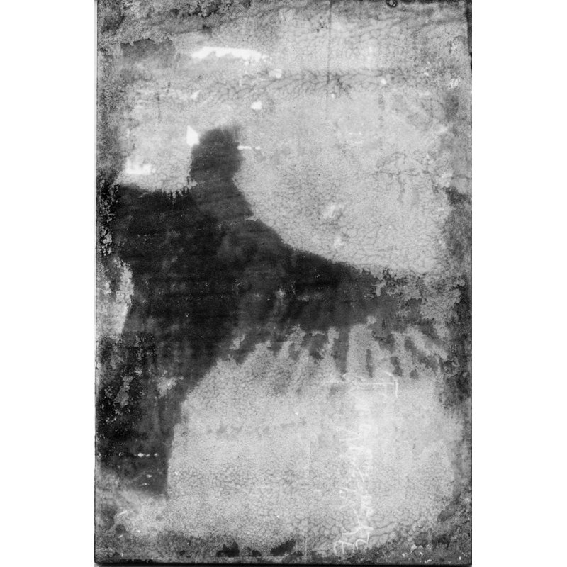 Flight VIII - Painting, 30 cm H x 20 cm W, Wrapped Canvas