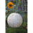 Antonucci 12'' Solar Powered Integrated LED