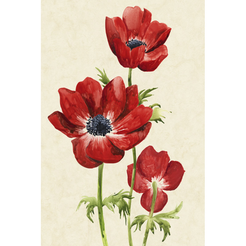 Heirloom Anemones II by Grace Popp - Wrapped Canvas Print, 46cm H x 30cm W 