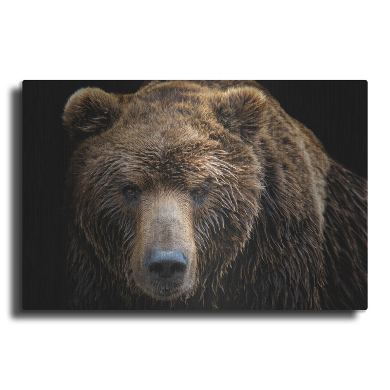«Brown Bear» par Luxe, H 16 po x l 24 po