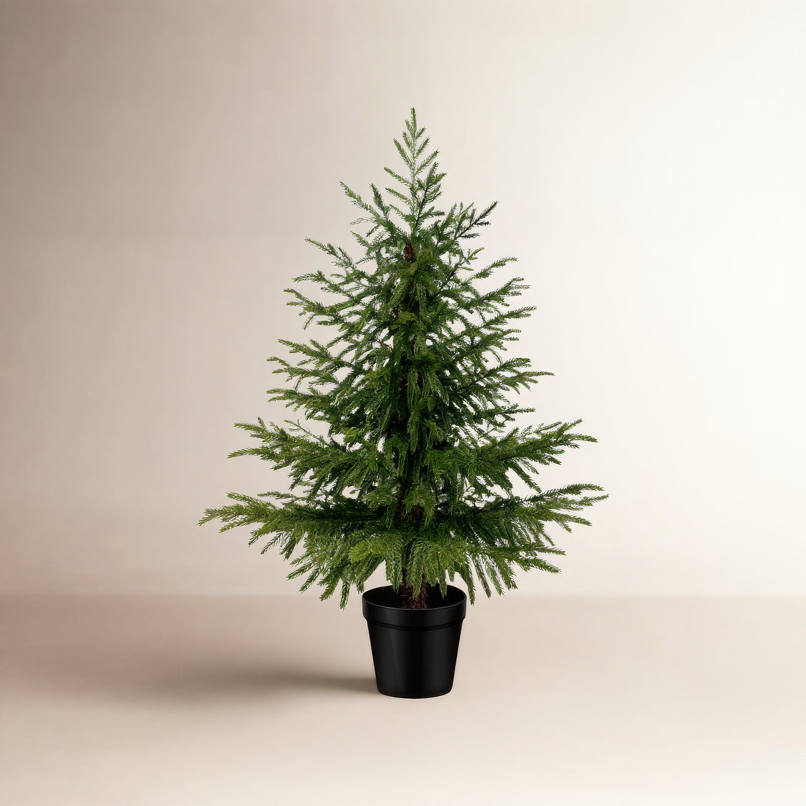 Pine Christmas Tree, 3' H