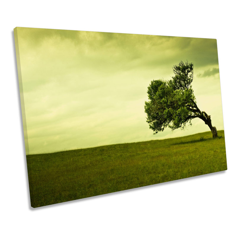 Windy Green Landscape Tree - Wrapped Canvas Print, 30.5cm H x 45.7cm W x 2cm D