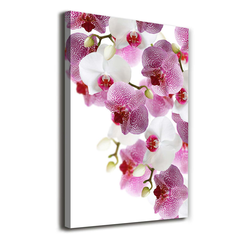 Orchid - Wrapped Canvas Print
