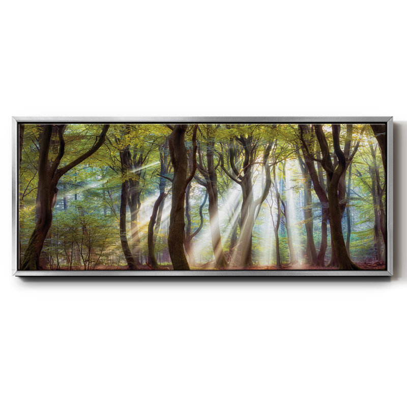 Majestic- Framed Canvas, 24" H x 60" W