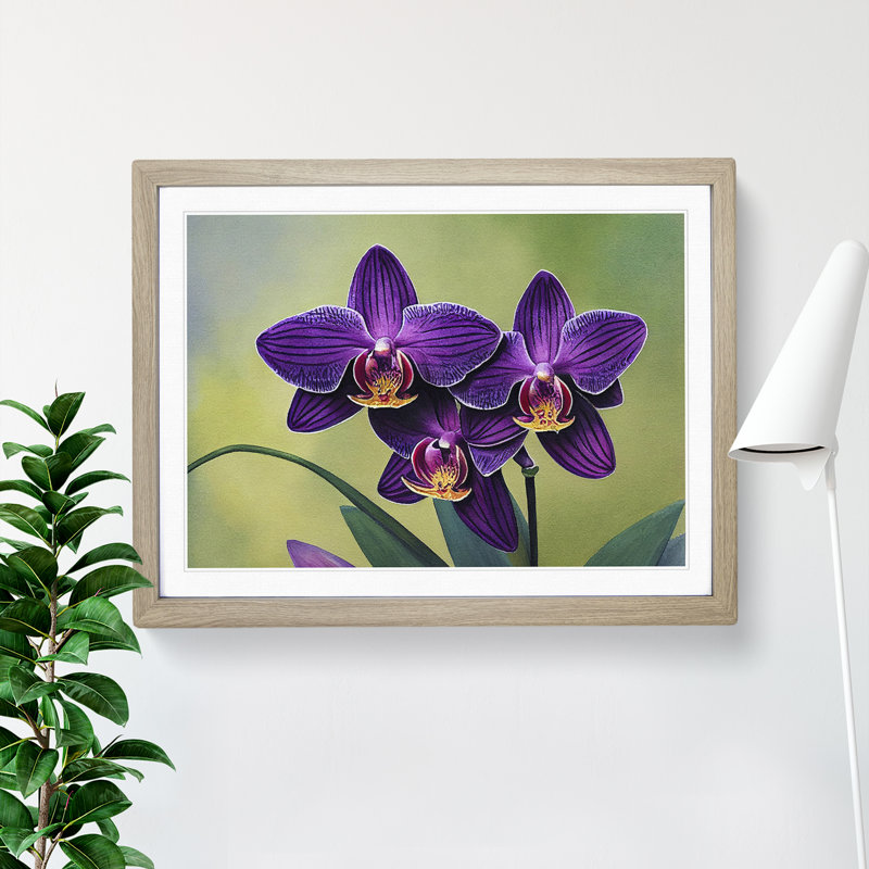 Gorgeous Orchid Flowers - Single Picture Frame Print, 25cm H x 34cm W x 2cm D, Oak Framed