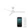 Roboto 3 - Blade Indoor/Outdoor Smart Ceiling Fan with Remote Control Included