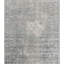 Wool Oriental Area Rug in Gray-65288796