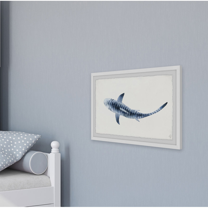 «Citlali Striped Shark», reproduction encadrée, H 8 po x l 12 po x P 1,5 po