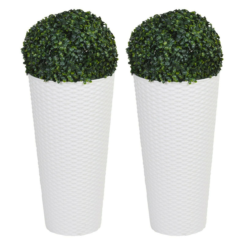 Elidio Pot Planter, 38cm H x 20cm W x 20cm D, 2