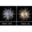 Alliee 8-Light Unique Crystal Chandelier with 8 Bulbs Included