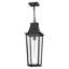 Hinkley Georgetown Hanging Lantern-346495688