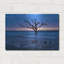 Art mural en métal luxueux «All That Remains» par Danny Head, 16 po x 12 po-114972438