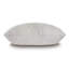 Alroy Lumbar Pillow Cover & Insert-51575793