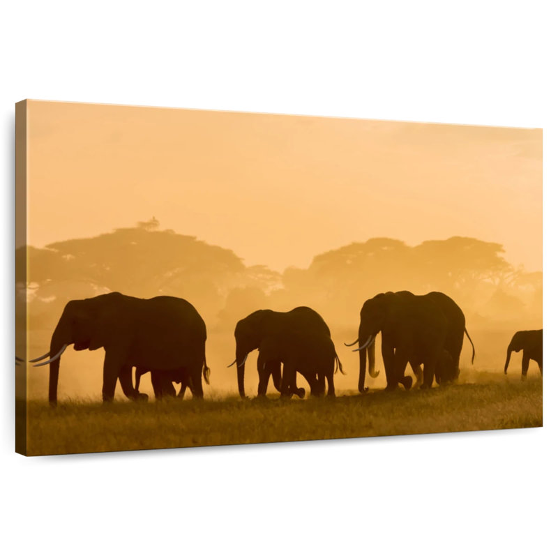 Arney African Elephants Silhouette