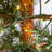 Haileyrose 5' Pre-Lit Pine Christmas Tree