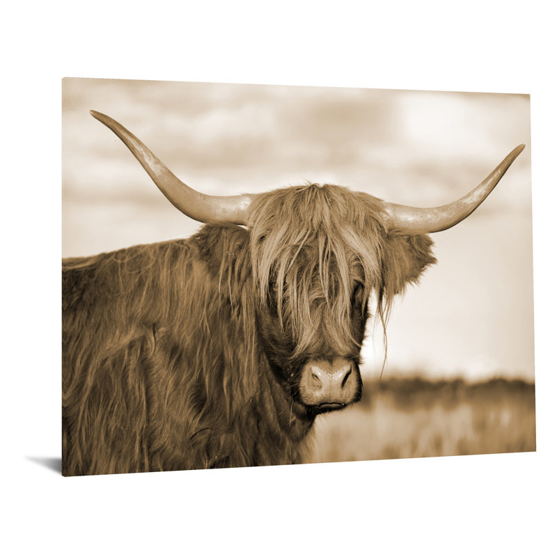 Art mural en verre trempé Highland Cow Serenity - 40 po x 60 po