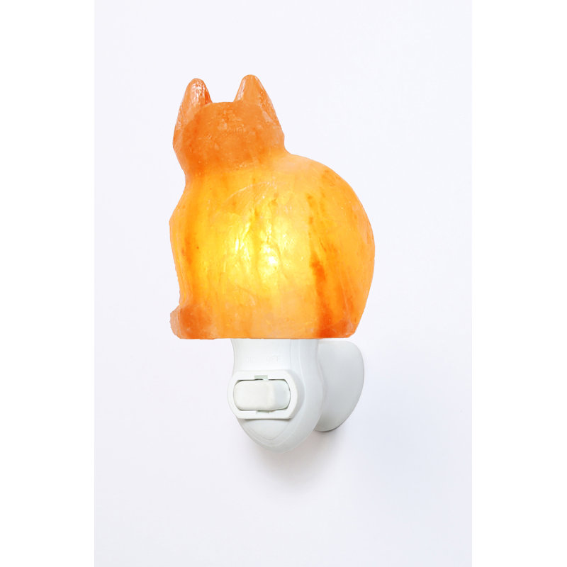 Lampe à sel 1 lb Schutz Cat