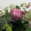 Faux Plastic 45cm Wreath