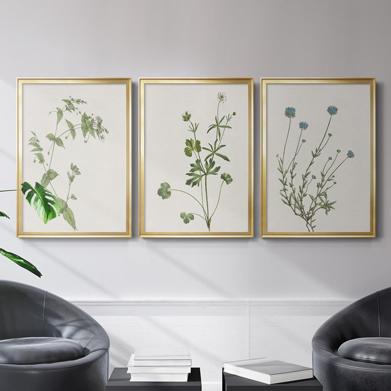 Toile encadrée de qualité supérieure Wispy Botanical I - prête à être accrochée, Cadre doré, H 42,5 po x l 61 po x P 2,5 po