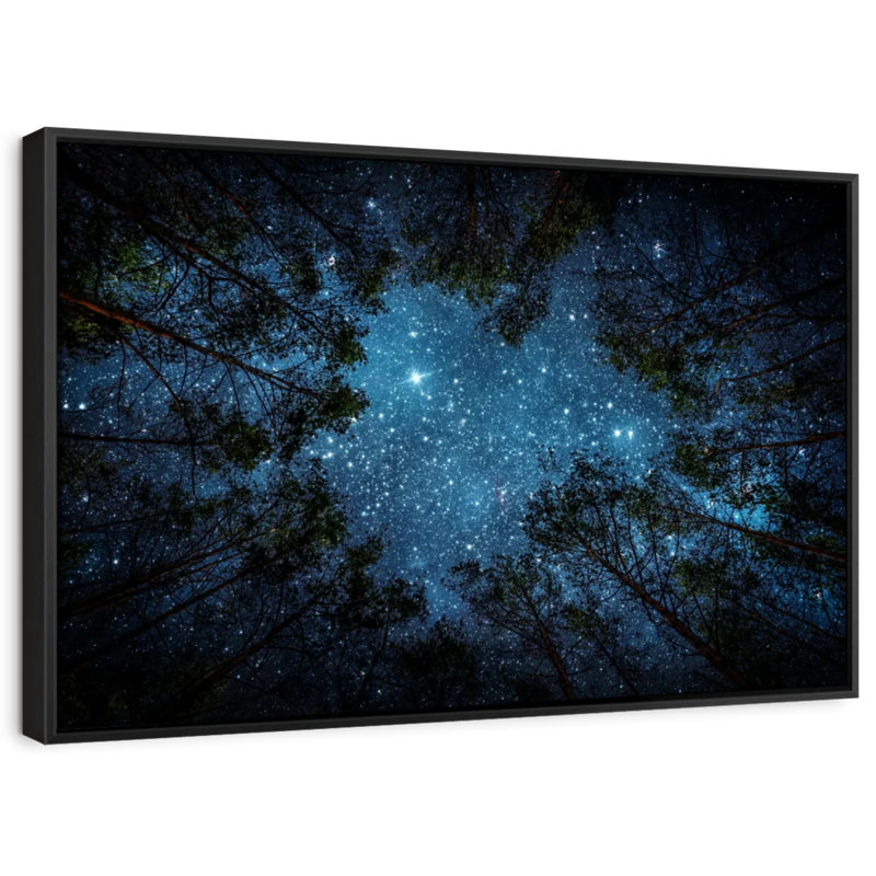 Astronomie et espace «Forest At Night», reproduction sur toile, H 9 po x l 13 po