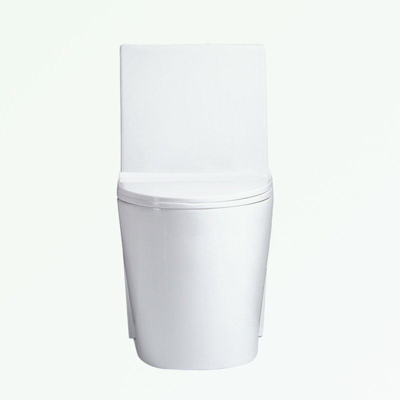Small Compact One Piece Toilet Dual Flush