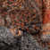 San Francisco Abstract Shag Area Rug