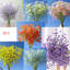 Arrangement floral Baby's Breath-1070477547-1070477538