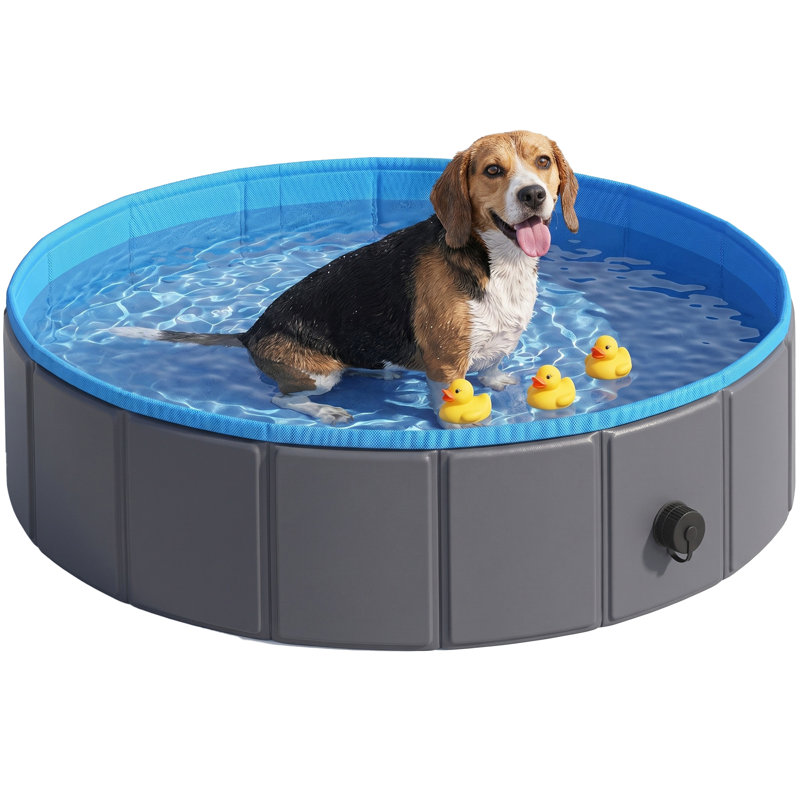 30cm H x 100cm W x 100cm D Dog Pool