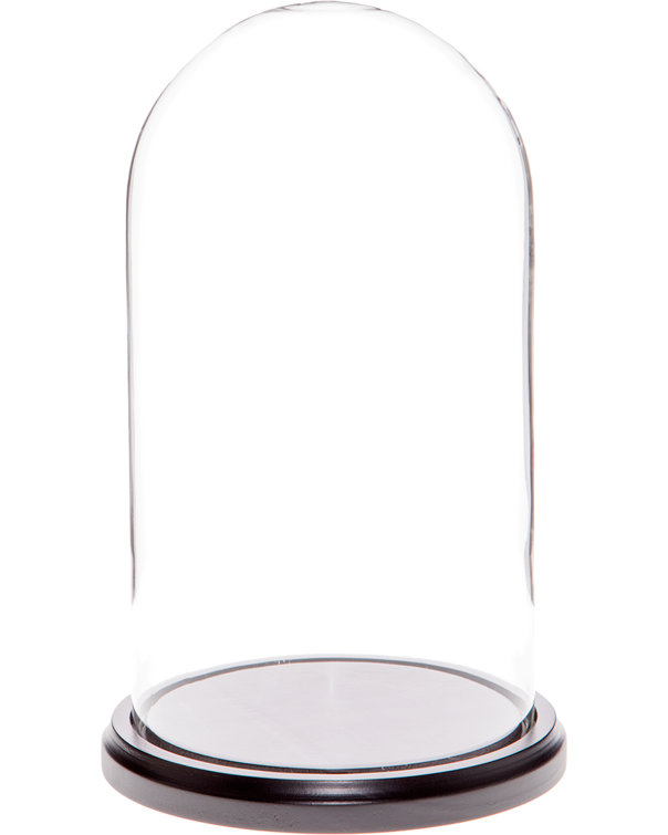 Latitude Run® Jenett Cloche Or Water Globe | Wayfair