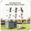 Cage pour chien avec niche verrouillable