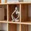 Bibliothèque légère et luxueuse
