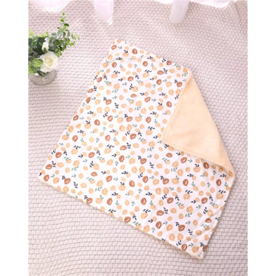 Pet Blanket