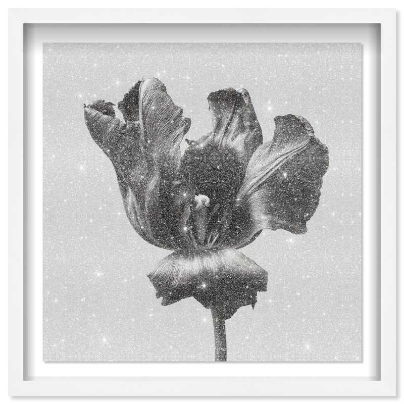 Tidal Wilt II Print by Oliver Gal, 31.5"H x 31.5"W, White Shadowbox