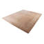 Oriental Area Rug in Beige