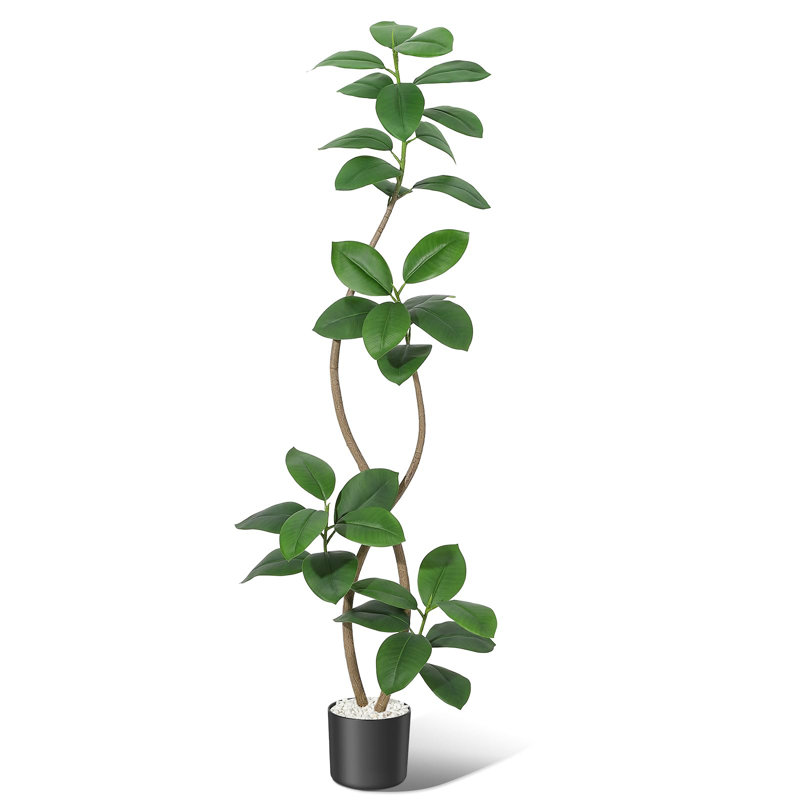 Ficus elastica artificiel Real Touch - Double tige, feuilles réalistes - Plante d'intérieur haute (180 cm) avec pot en résine et galets blancs - Bassin noir et pierres blanches