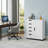 5-Drawer Metal Office Storage Cabinet (White), Mobile Version With Printer Stand, Suitable For Home Storage-1420748626