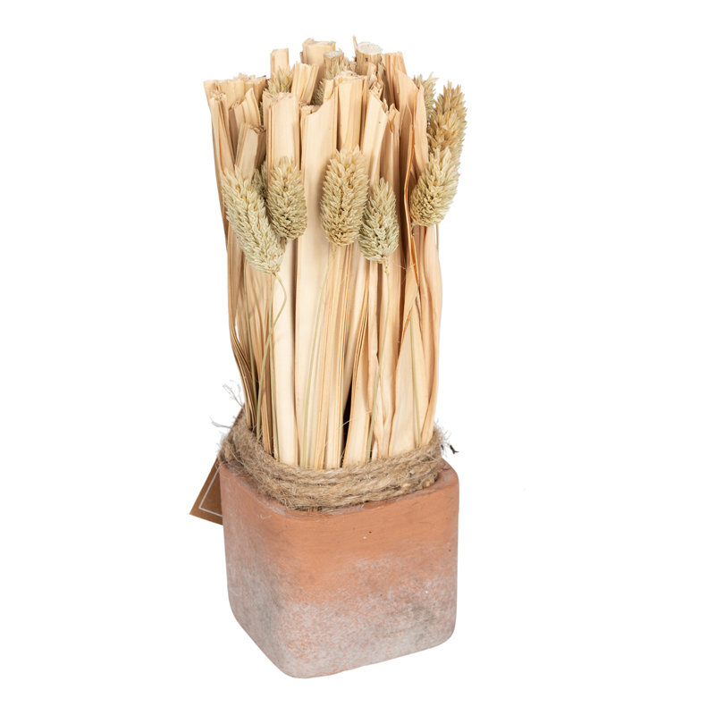 Faux Pampas Grass Grass in Terracotta Pot, 30cm H x 11cm W x 11cm D