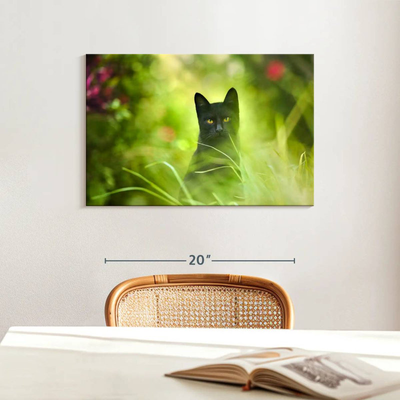Chat noir Brampt, H 16 po x l 24 po