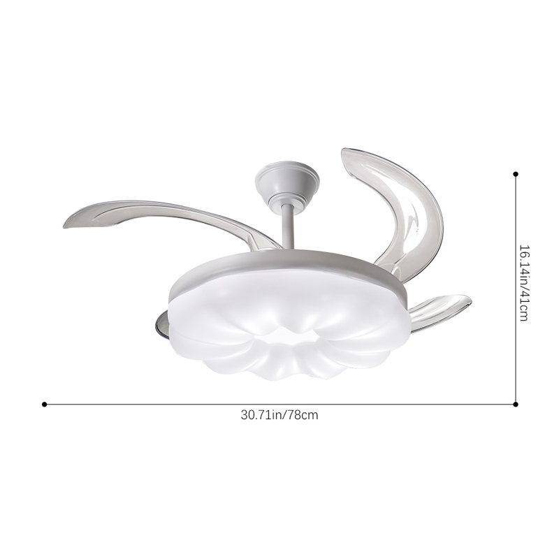 Ceiling Fan with LED Lights