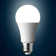 60W Equivalent A60 E27/Medium (Standard) 6000K LED Bulb