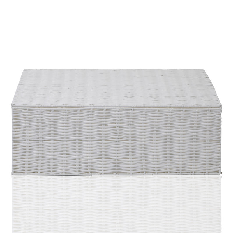 Rebrilliant Plastic Decorative Bin