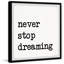 Never Stop Dreaming XI - Single Picture Frame Print-1357918199