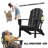 Loyce Outdoor Adirondack Chair-811680984