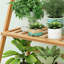 Plant Stand